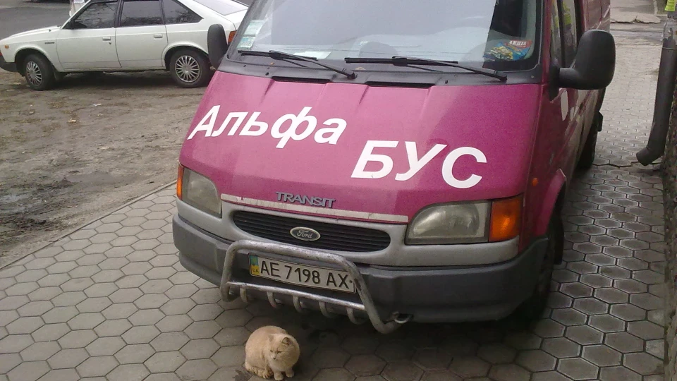 Ford Transit Рожевий СЛОНЯ 4