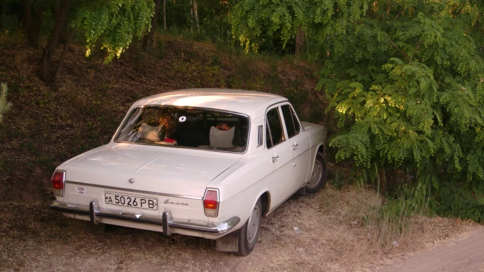 ГАЗ 24 Перлина 4