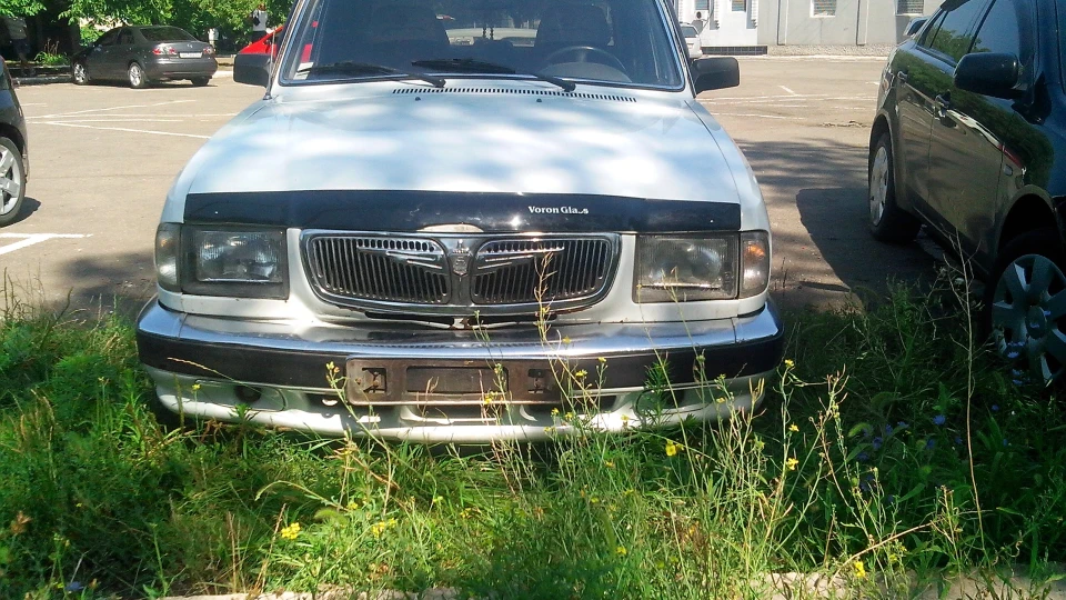ГАЗ 31 5