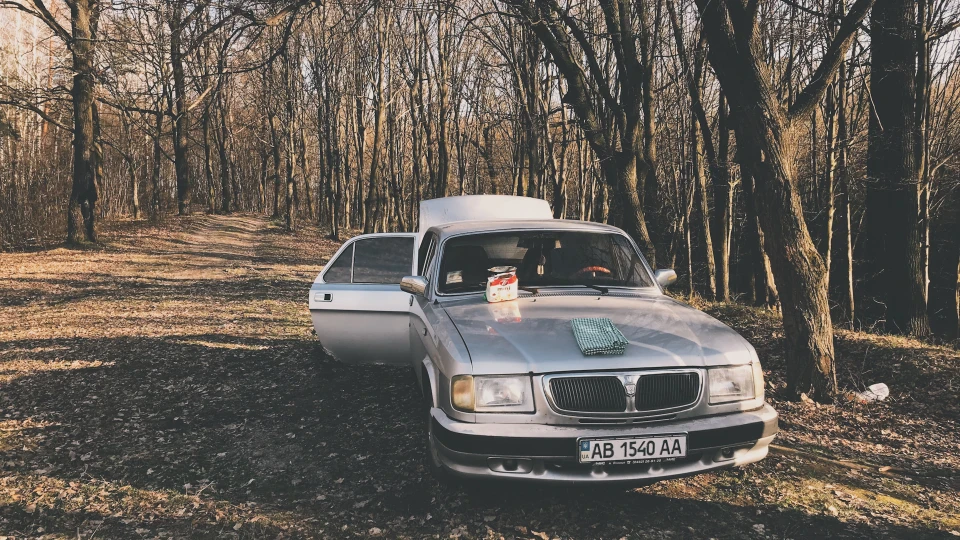 ГАЗ 31