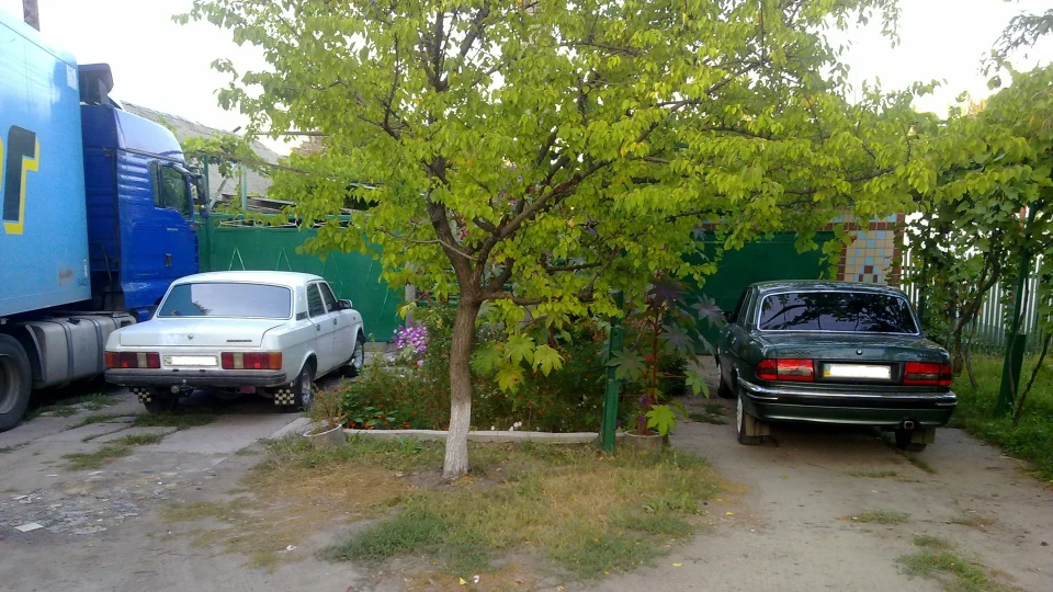 ГАЗ 31 5