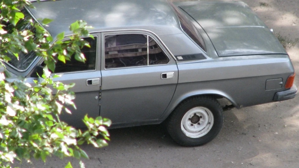 ГАЗ 31029 швидкісний міст 5