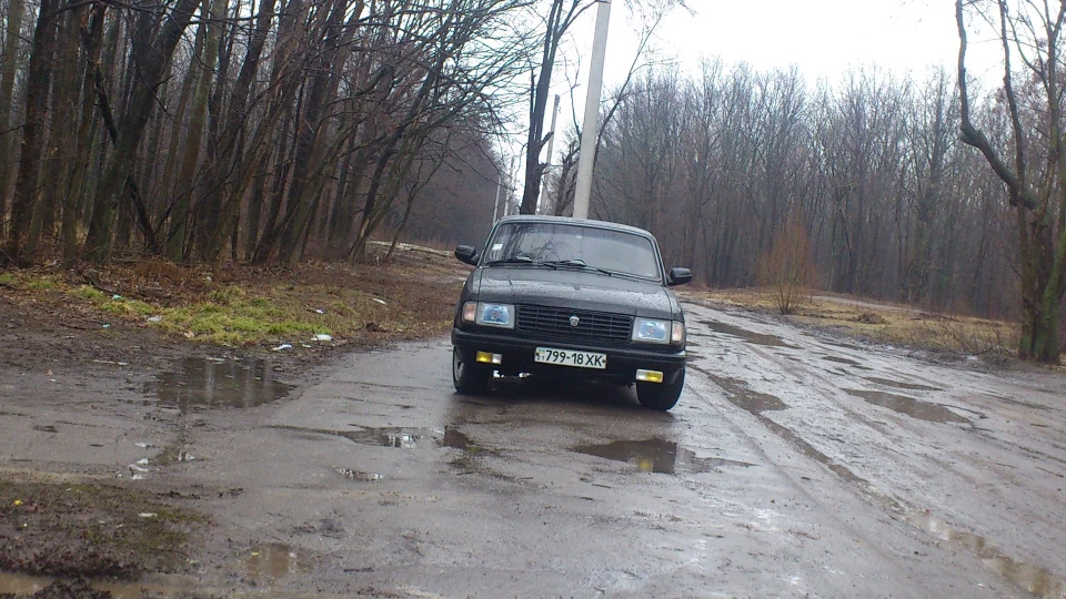 ГАЗ 31029 3