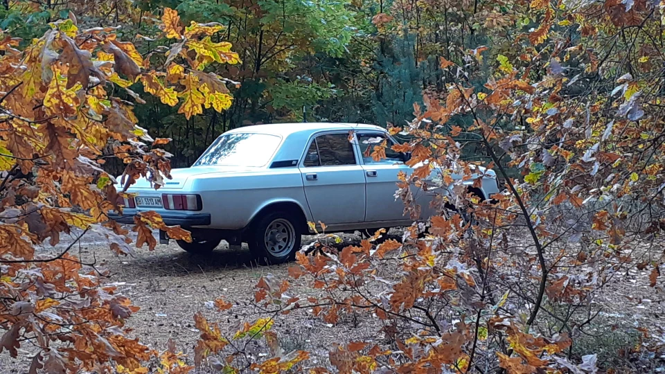 ГАЗ 31 Білосніжка 4
