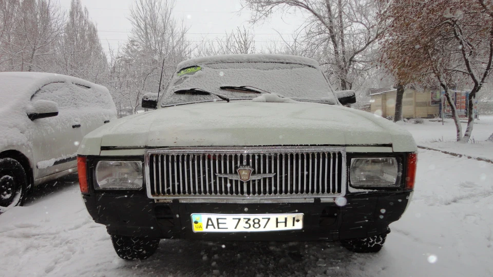 ГАЗ 31 Білий металік 5