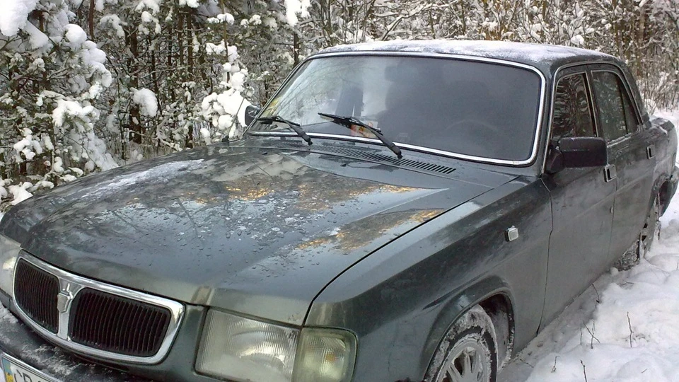 ГАЗ 31 Малятко 2