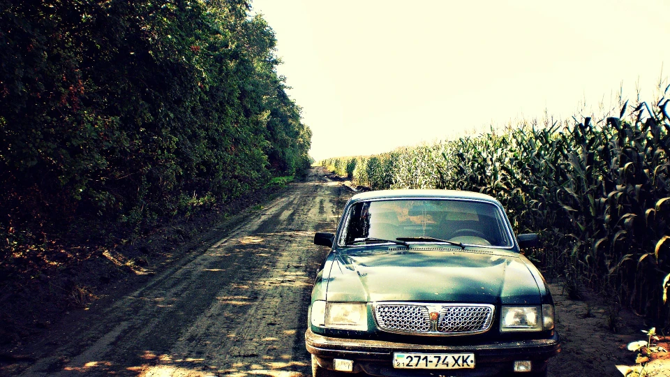 ГАЗ 31 Volga 5