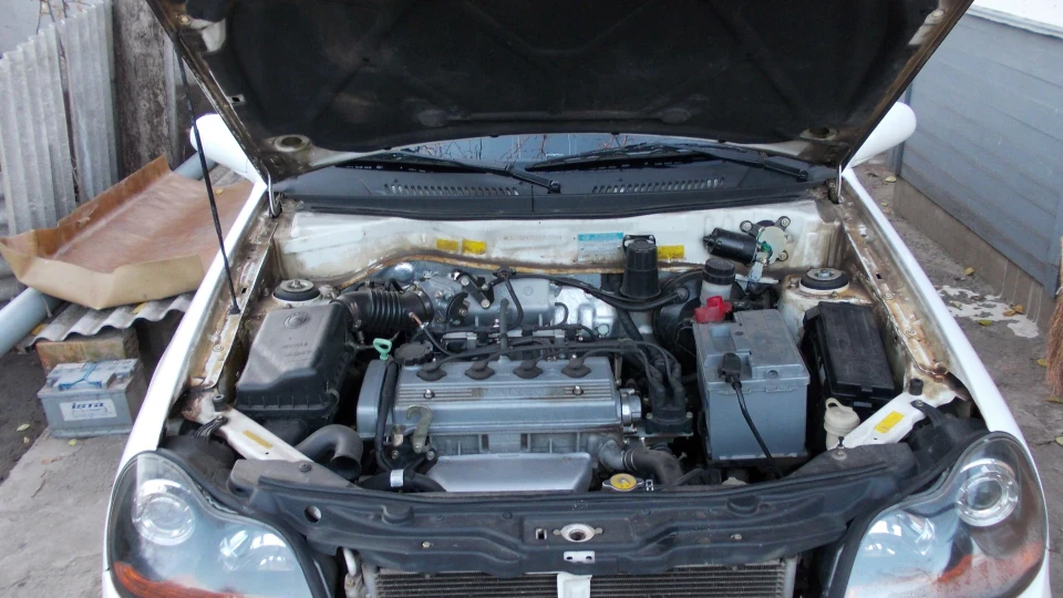 Geely CK bianco mosca