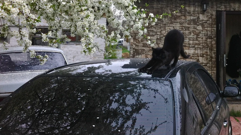Geely MK LAMBORGEELY 5