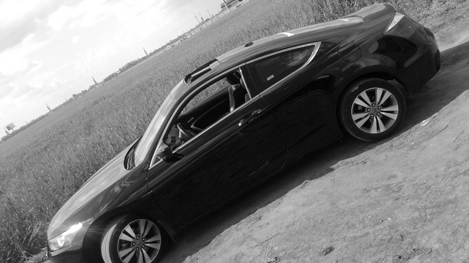 Honda Accord Coupe Акулка 2