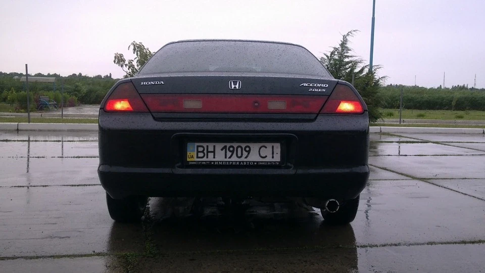 Honda Accord Coupe ☣ Reptile ☣