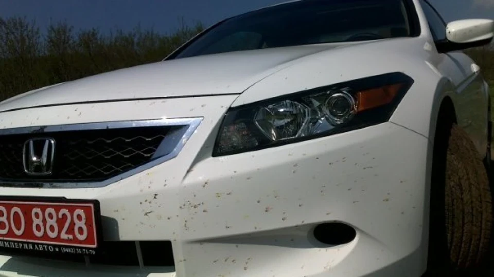 Honda Accord Coupe Жвава БІЛКА 2