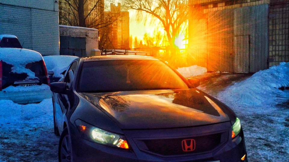 Honda Accord Coupe Рись 2
