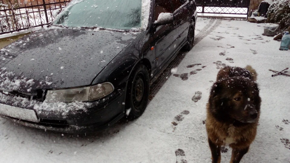 Honda Accord 2.0 IES 4