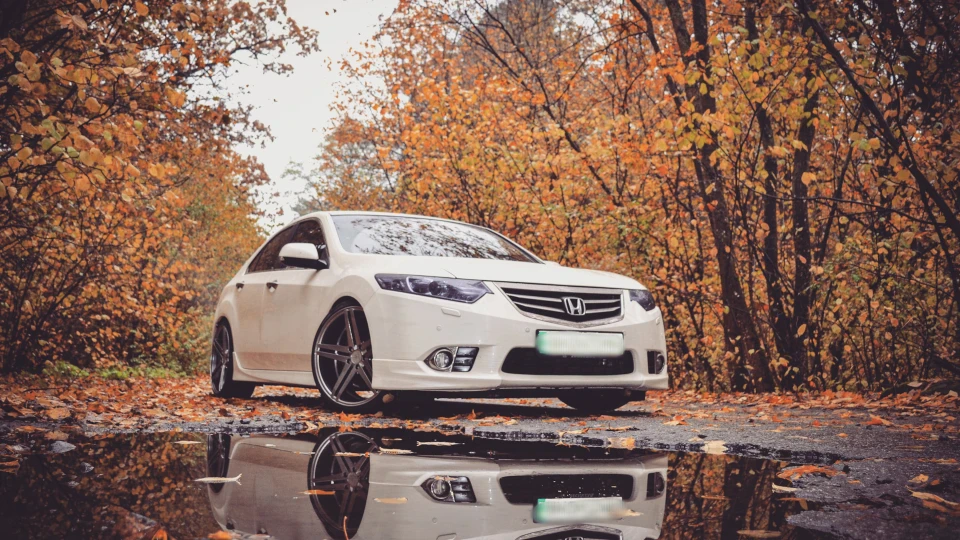 Honda Accord #8 5