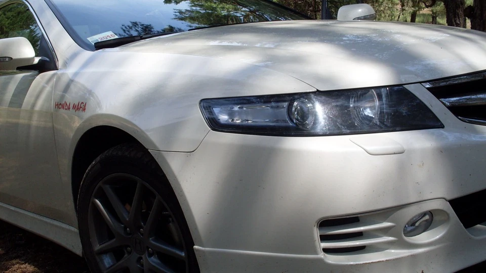Honda Accord Білий TypeS - F14TomCat 2