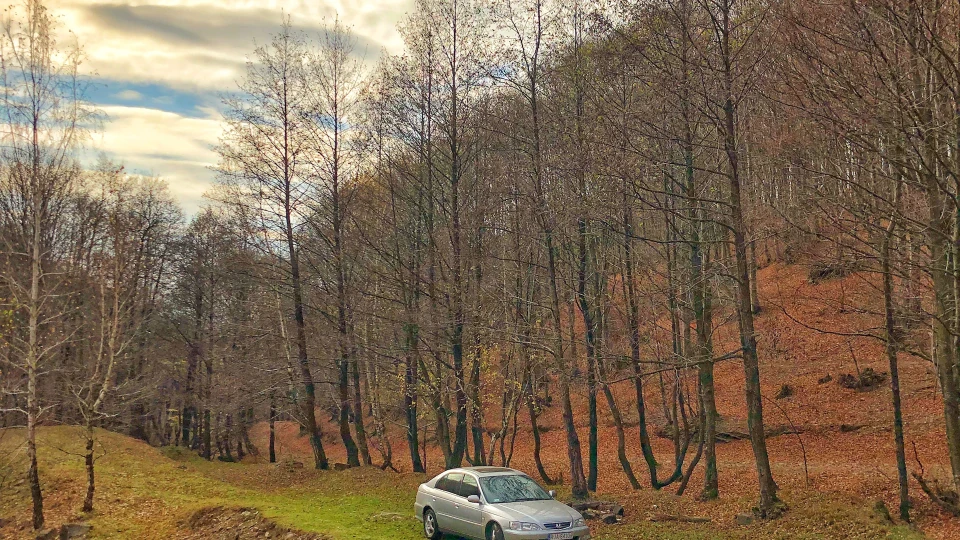 Honda Accord CH6 4