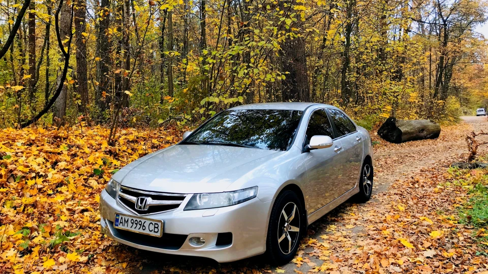 Honda Accord "Gray Cardinal" 2