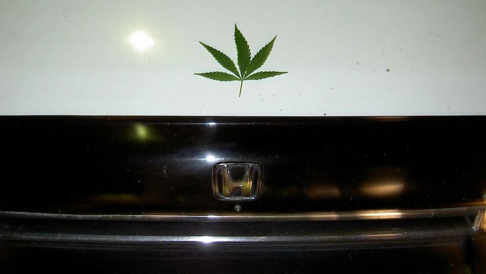 Honda Accord "Honda-Mafia" 4