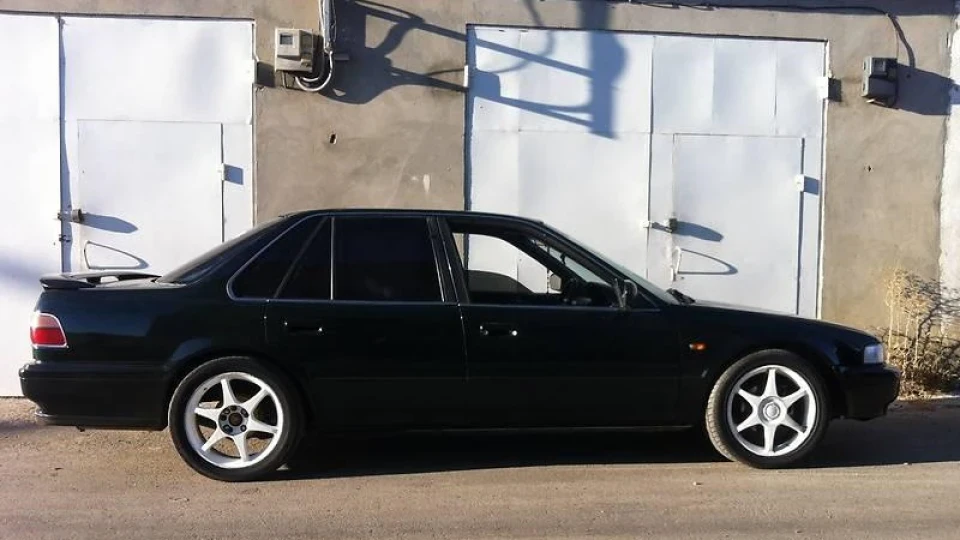 Honda Accord Крокодил 2