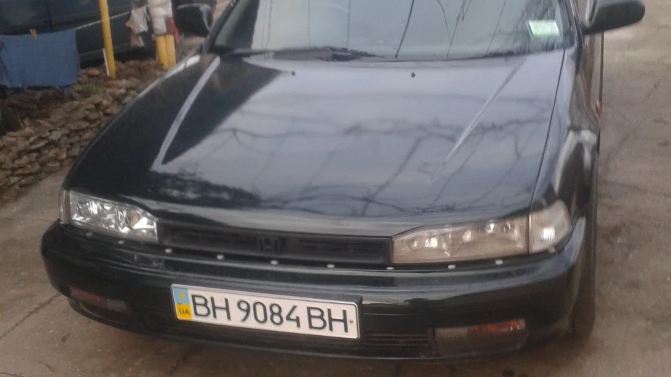 Honda Accord Крокодил 5