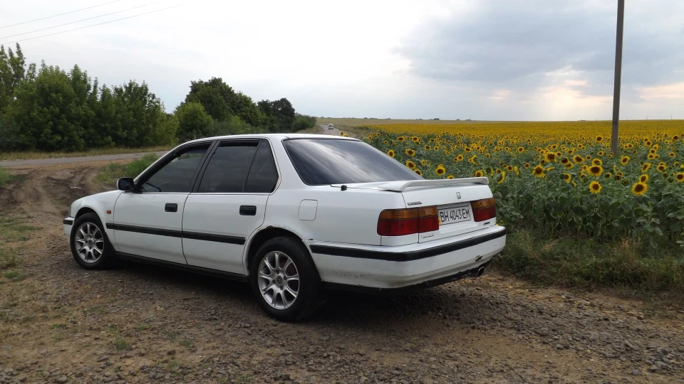 Honda Accord маленький звір) 3