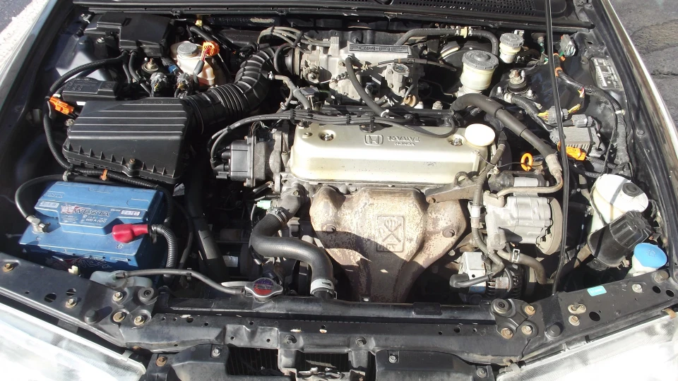 Honda Accord Муха ЦЦ7 4