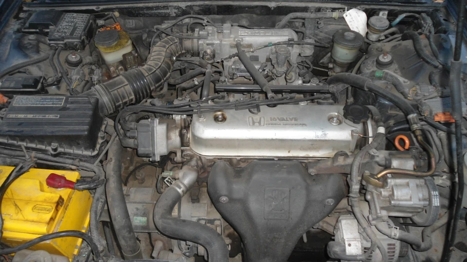 Prosto Accord 2