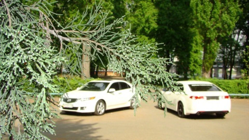 Honda Accord White EXE 3