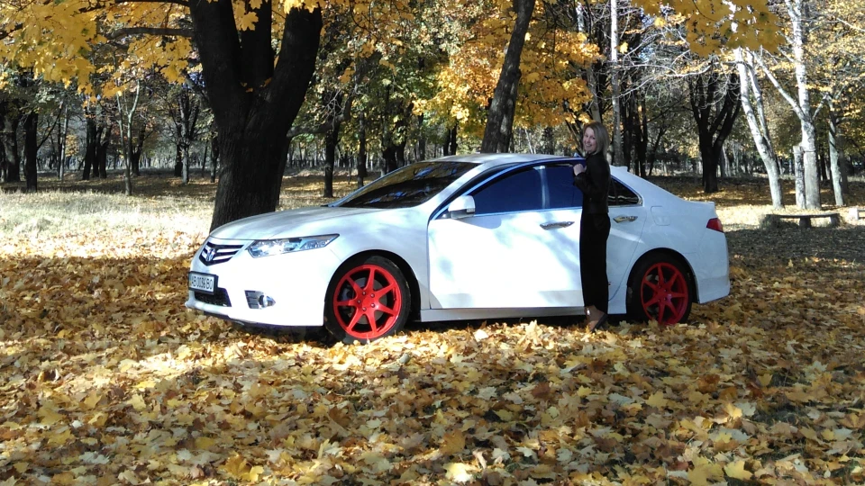 Honda Accord white mod 5