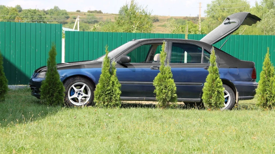 Honda Civic Fastback 2