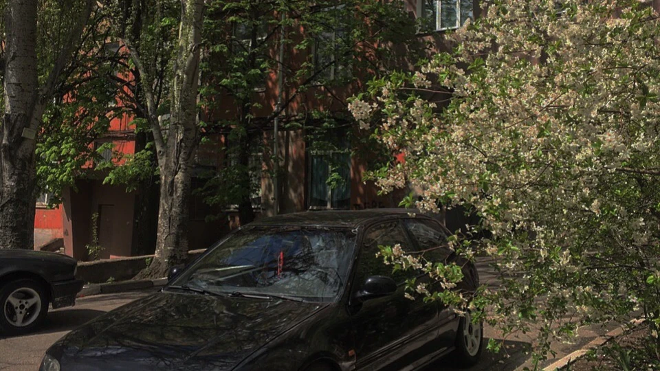 Honda Civic Hatchback 5