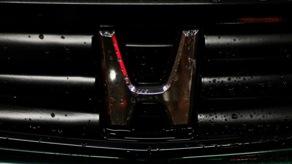 Honda Civic “GEKKO”🦎 2