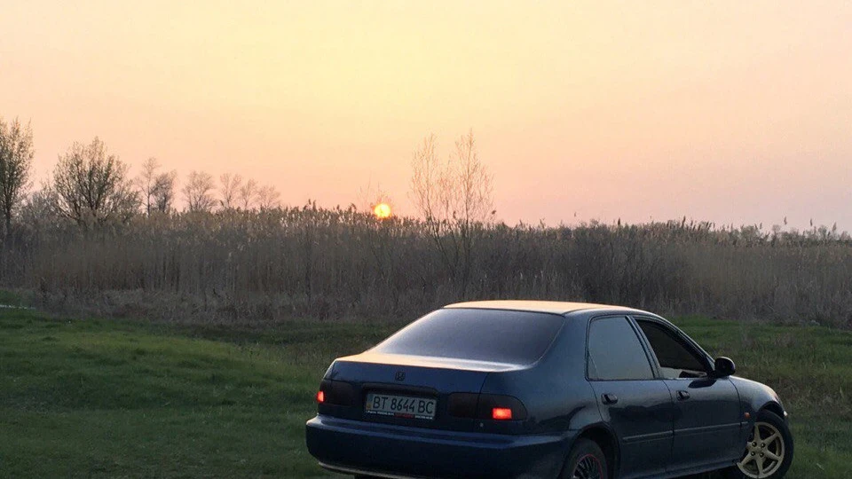 Honda Civic gold heels 3