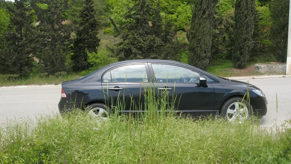 Honda Civic swallow 2