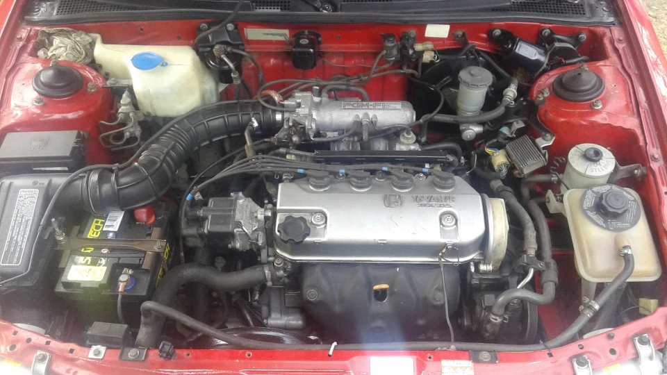 Honda Concerto Жвавий Жужик