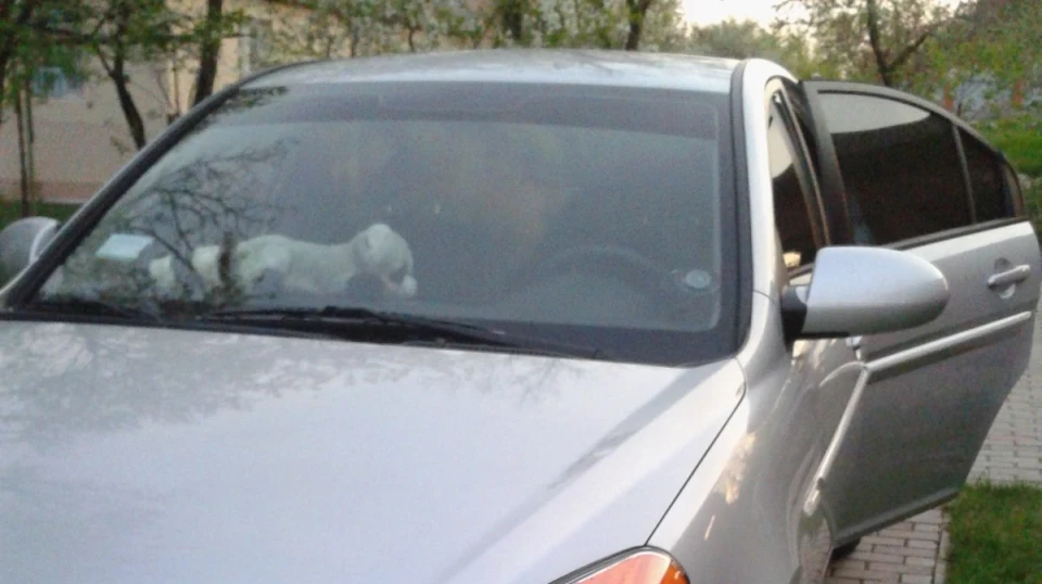Hyundai Accent 1.6AT 'Енотовоз )' 5
