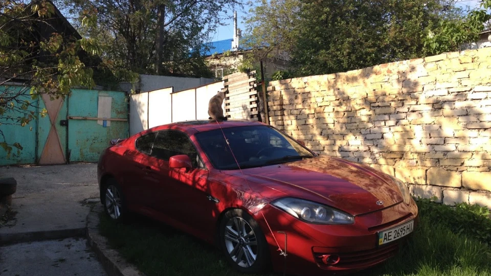 Hyundai Coupe