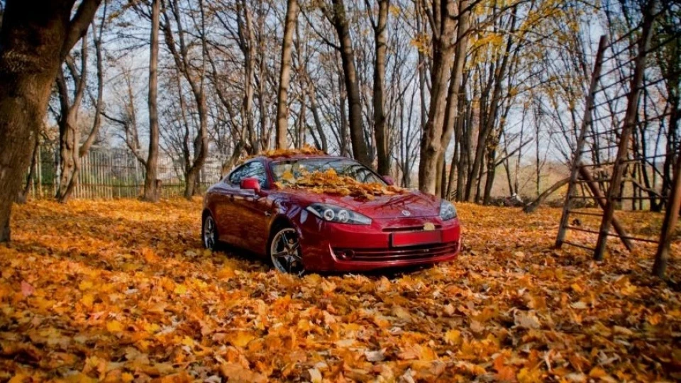 Hyundai Coupe 2
