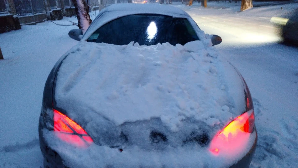 Hyundai Coupe Shark 1.6 4