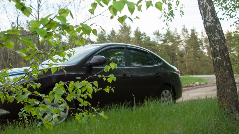 Hyundai Elantra EggPlant 2