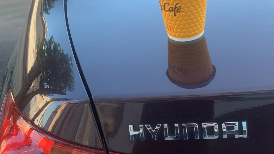 Hyundai Elantra Вишнева Елька 3