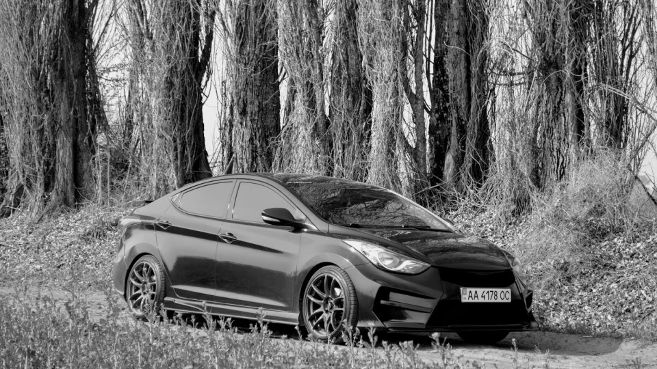 Hyundai Elantra вище трави ;) 3