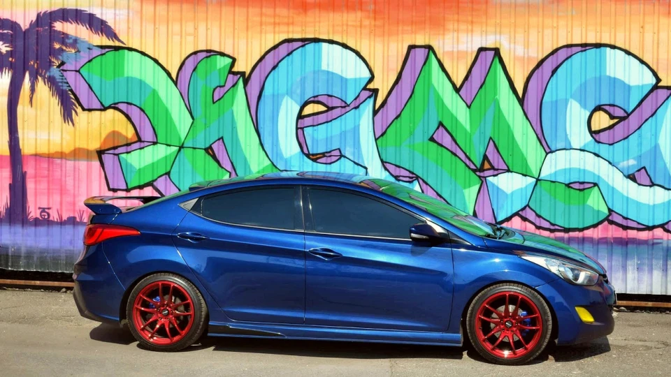 Hyundai Elantra вище трави ;) 4