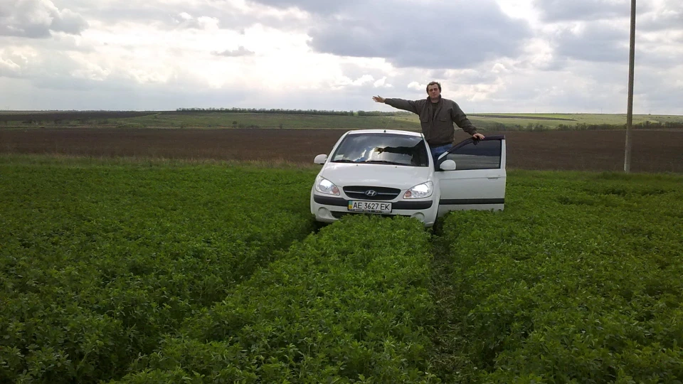 Hyundai Getz Білка 5