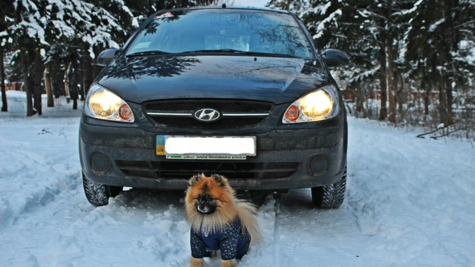 Hyundai Getz Gorik 3