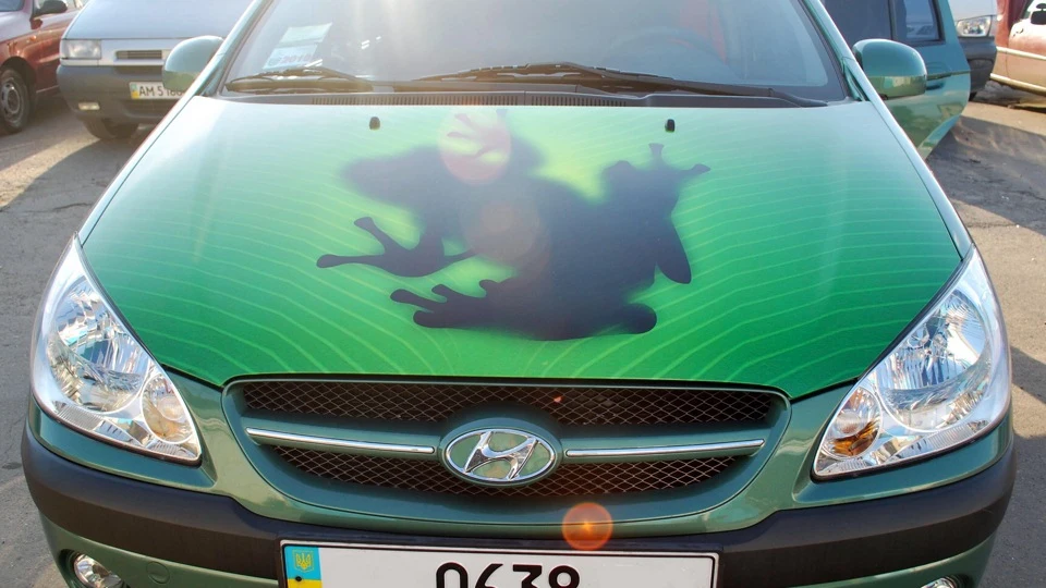 Hyundai Getz Mr.Frog 5