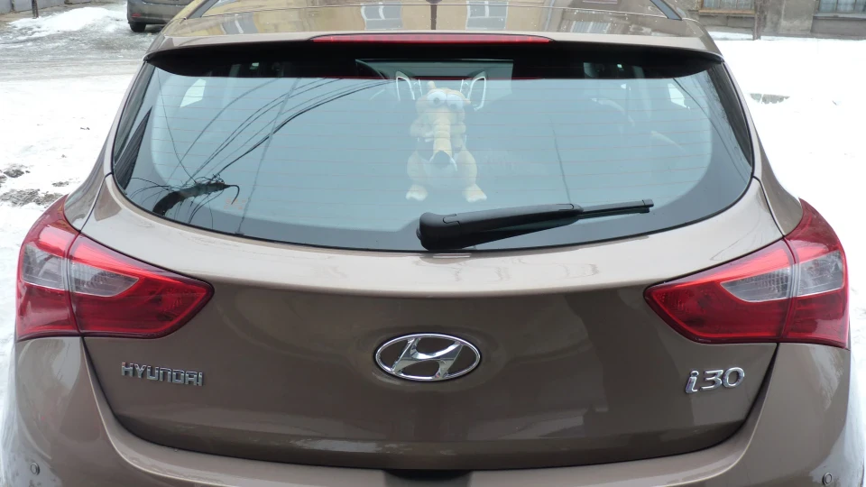 Hyundai i30 1.6 AT Бронзовий птах 2