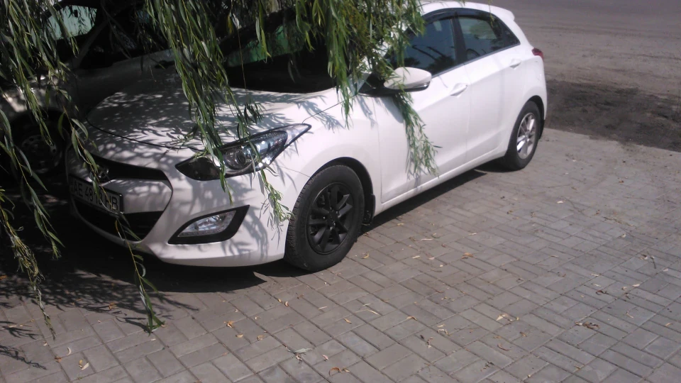 Hyundai i30 squirrel 5