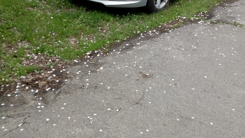 Hyundai i40 Хард комфорт
